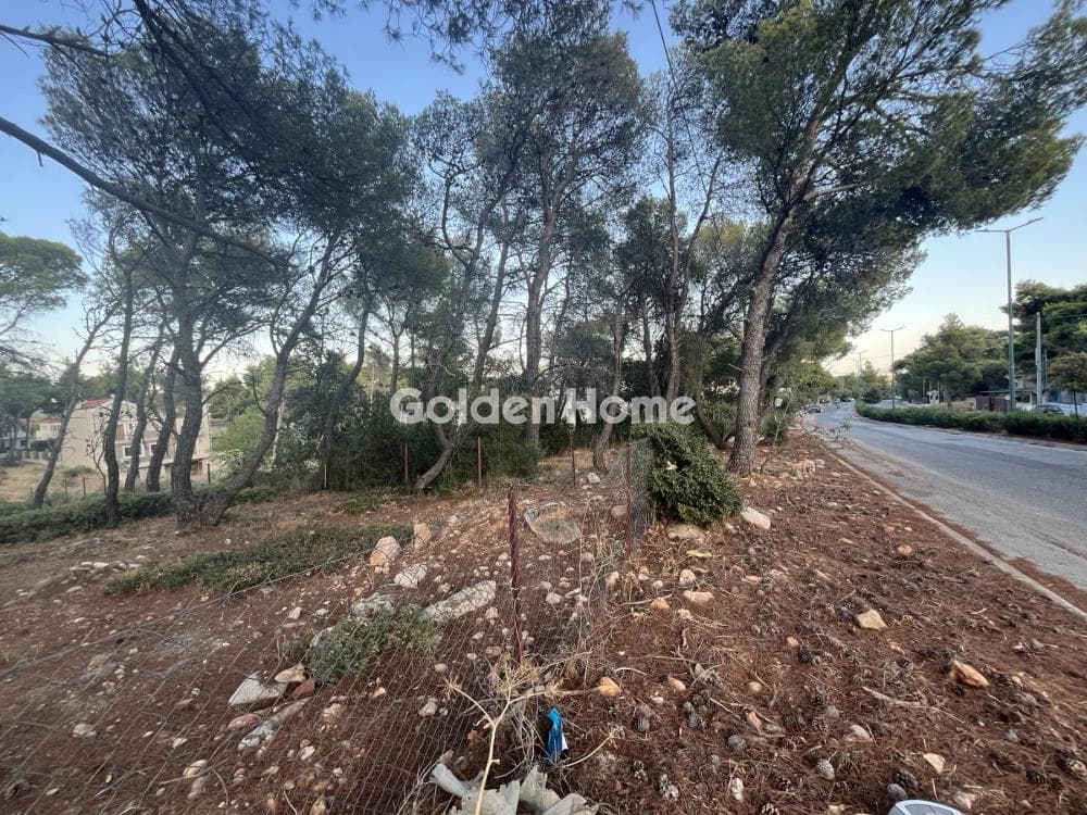 Building Plot in Megala Sxoinia A, Acharnes — Photo 9 of 13