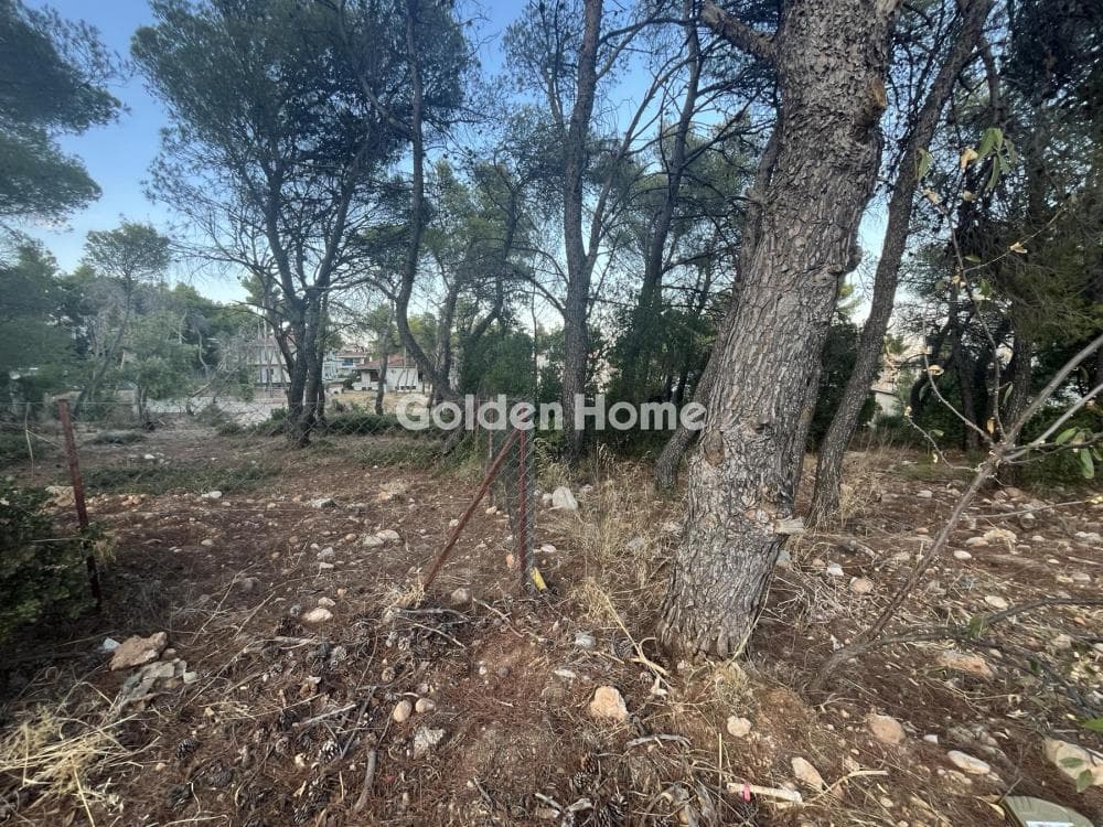 Building Plot in Megala Sxoinia A, Acharnes — Photo 10 of 13