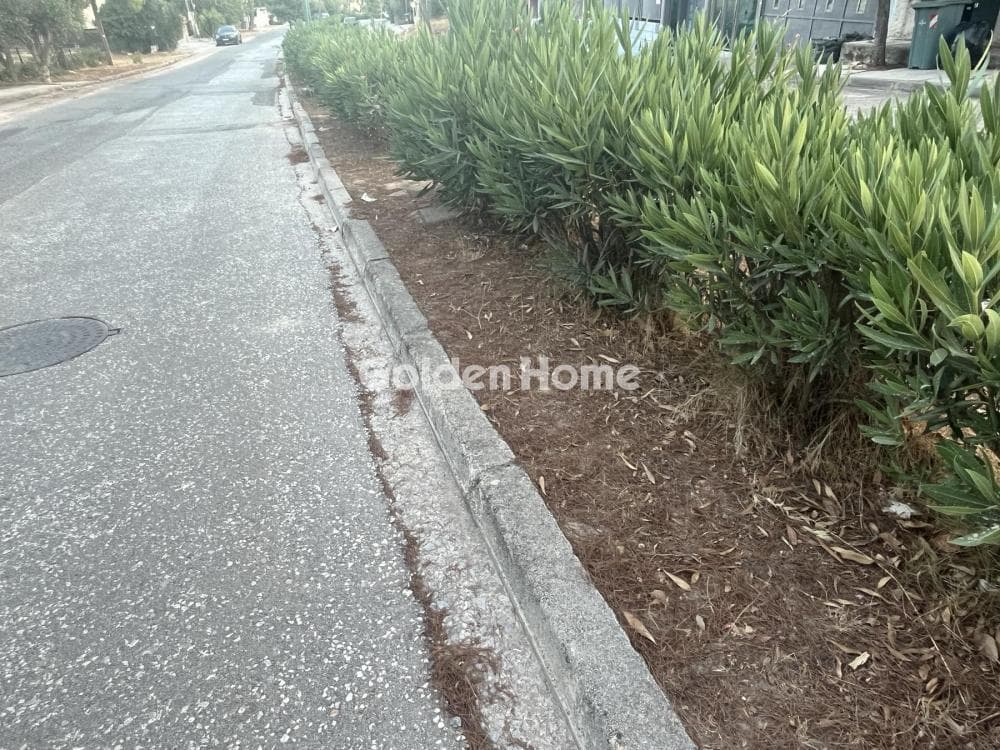 Building Plot in Megala Sxoinia A, Acharnes — Photo 13 of 13