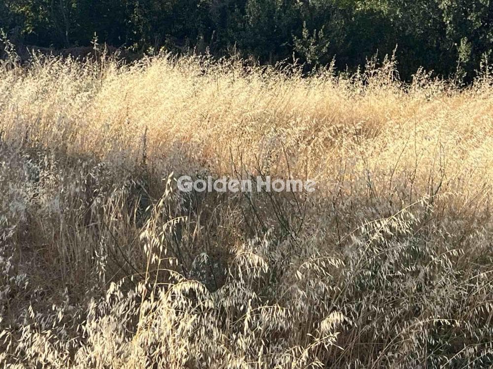 Building Plot in Stamnoi, Episkopi — Photo 12 of 22