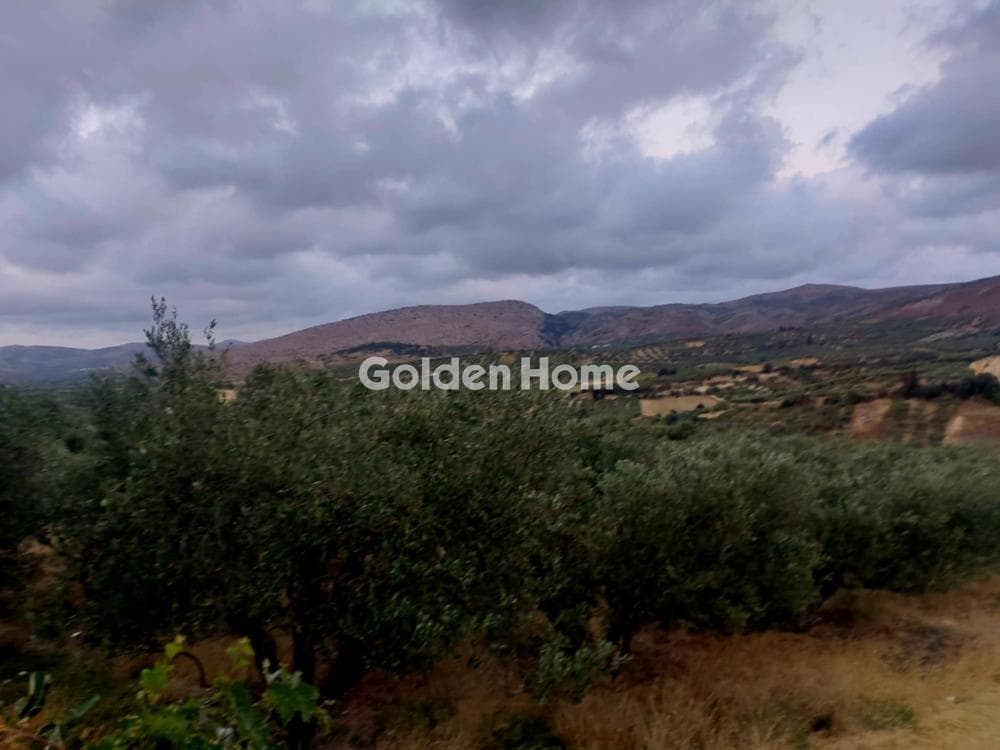 Building Plot in Stamnoi, Episkopi — Photo 4 of 8