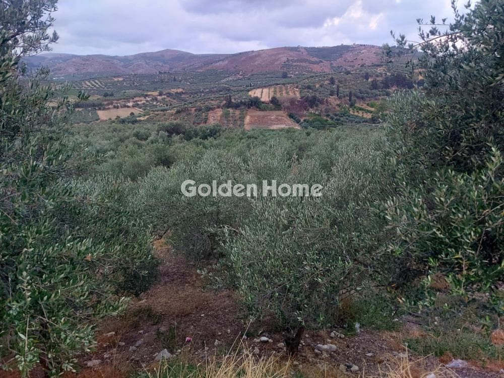 Building Plot in Stamnoi, Episkopi — Photo 1 of 8