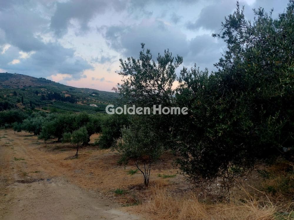 Building Plot in Stamnoi, Episkopi — Photo 5 of 8