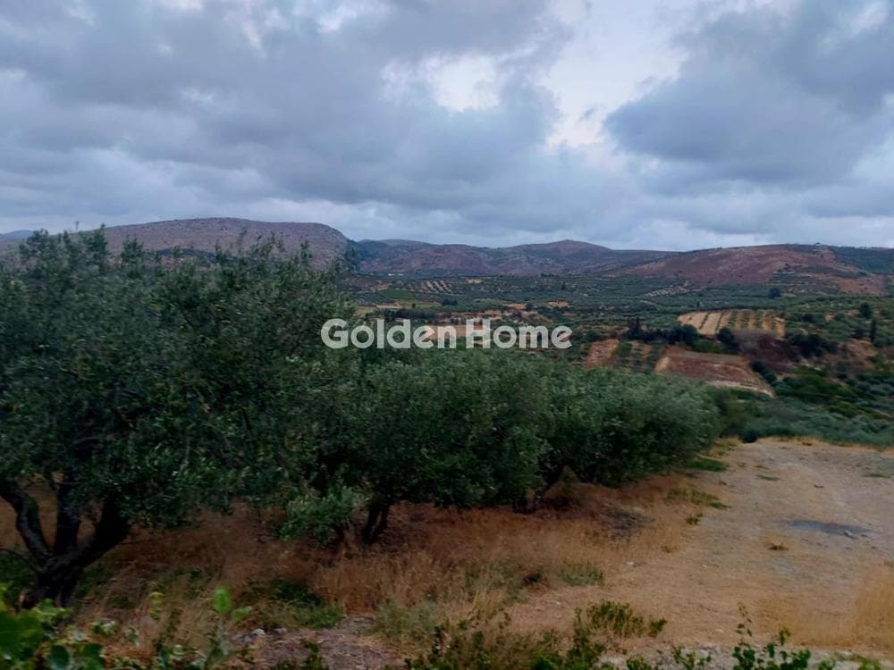 Building Plot in Stamnoi, Episkopi — Photo 3 of 8