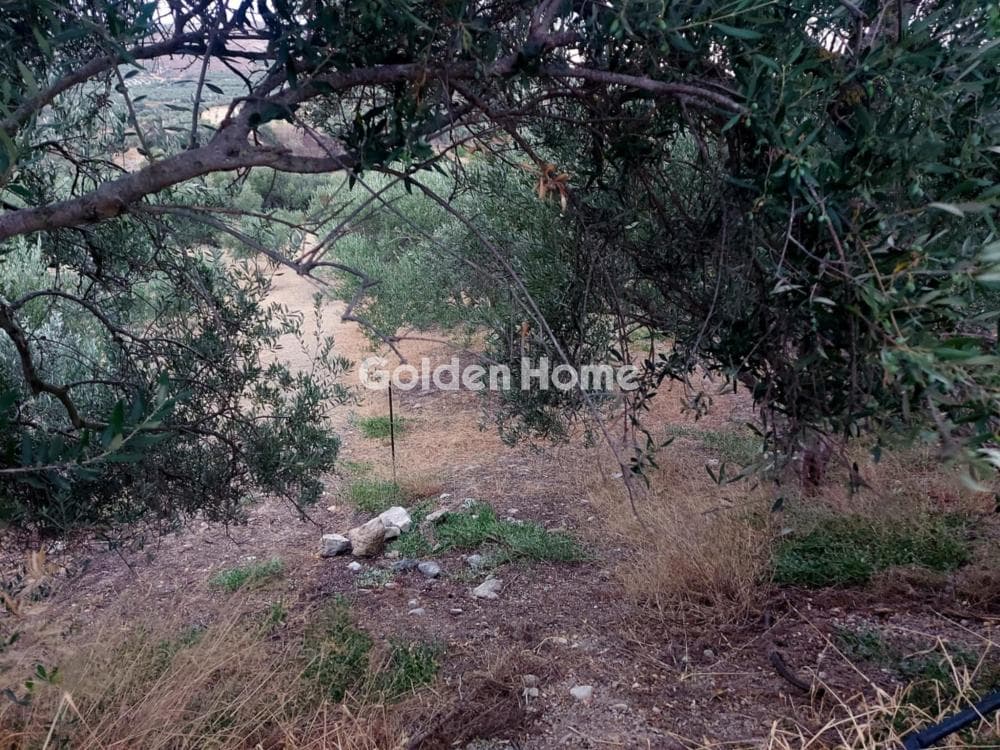 Building Plot in Stamnoi, Episkopi — Photo 6 of 8