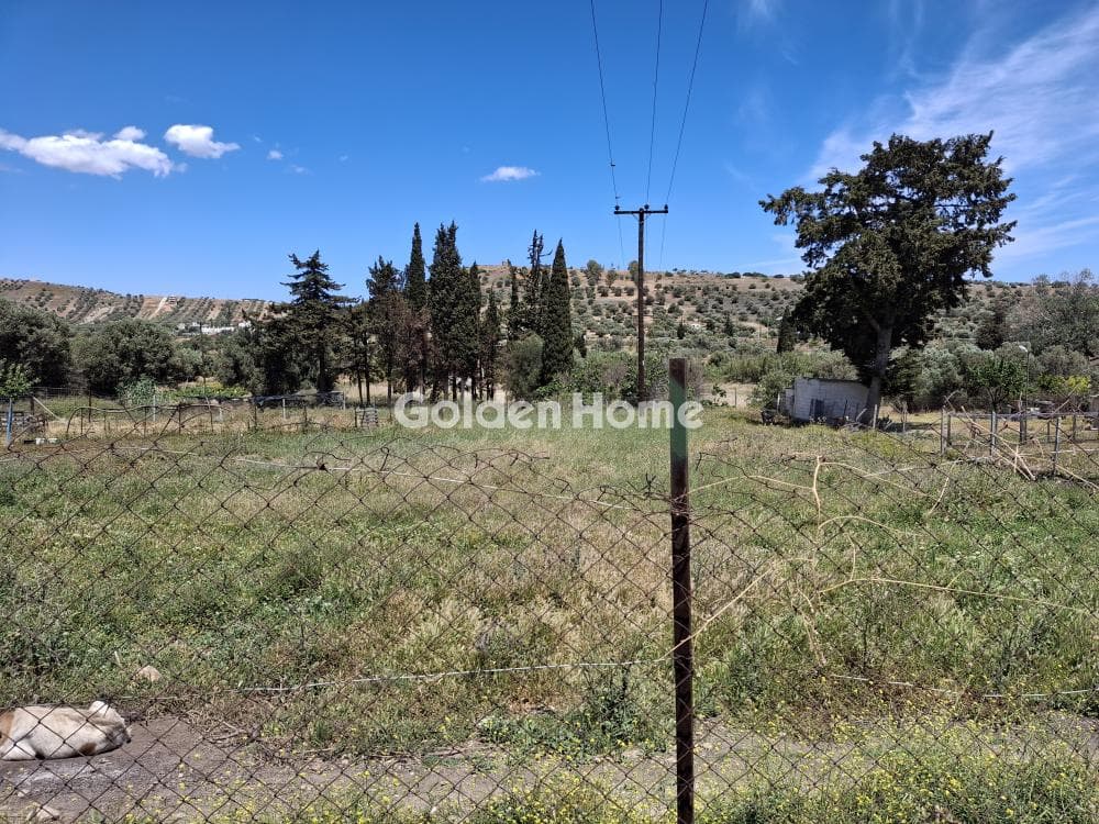 Αγροτεμάχιο στην Αρί, Ανάβυσσος — Φωτογραφία 1 από 3