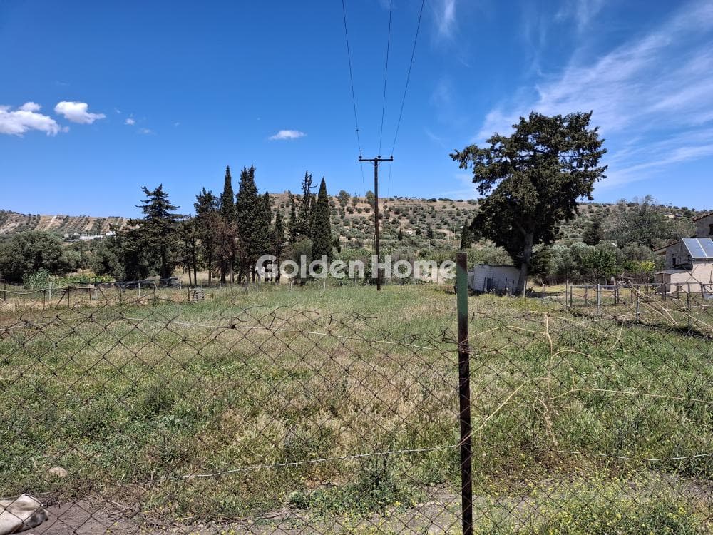 Αγροτεμάχιο στην Αρί, Ανάβυσσος — Φωτογραφία 2 από 3