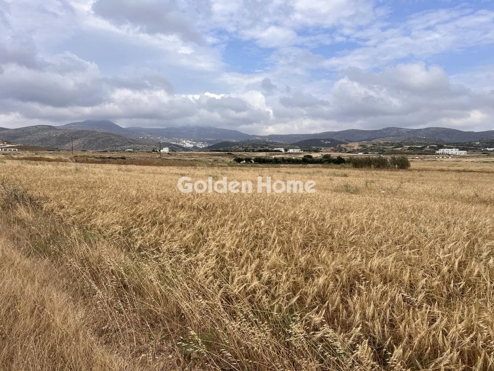 Parcel in Glifades, Paros — Photo 4 of 5