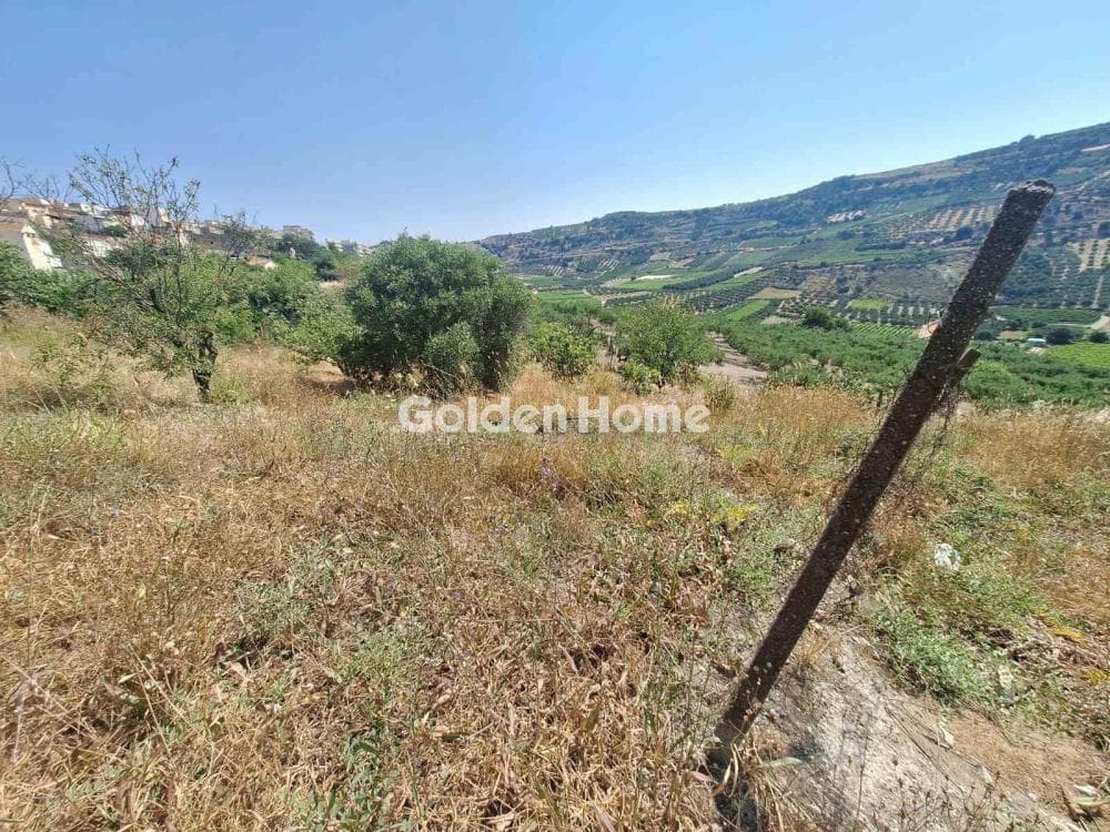 Οικόπεδο στην Δαφνές, Τετραχώρι — Φωτογραφία 1 από 3