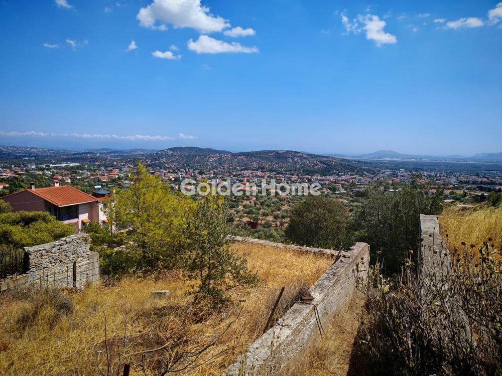 Αγροτεμάχιο στην Μουσείο Βορρέ, Παιανία — Φωτογραφία 1 από 4