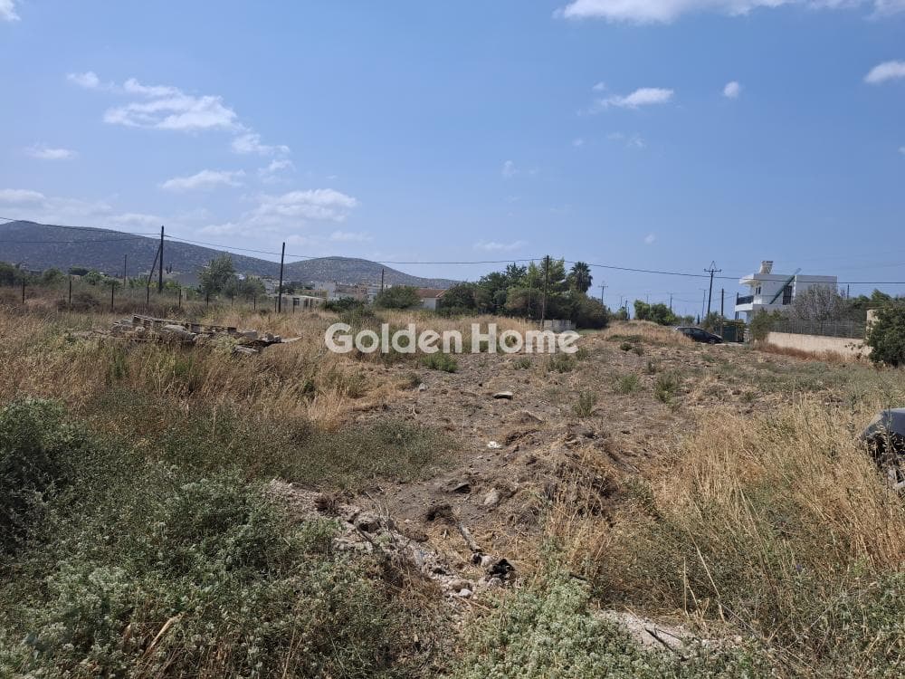 Οικόπεδο στην Αλυκές - Λάκκα, Ανάβυσσος — Φωτογραφία 1 από 4