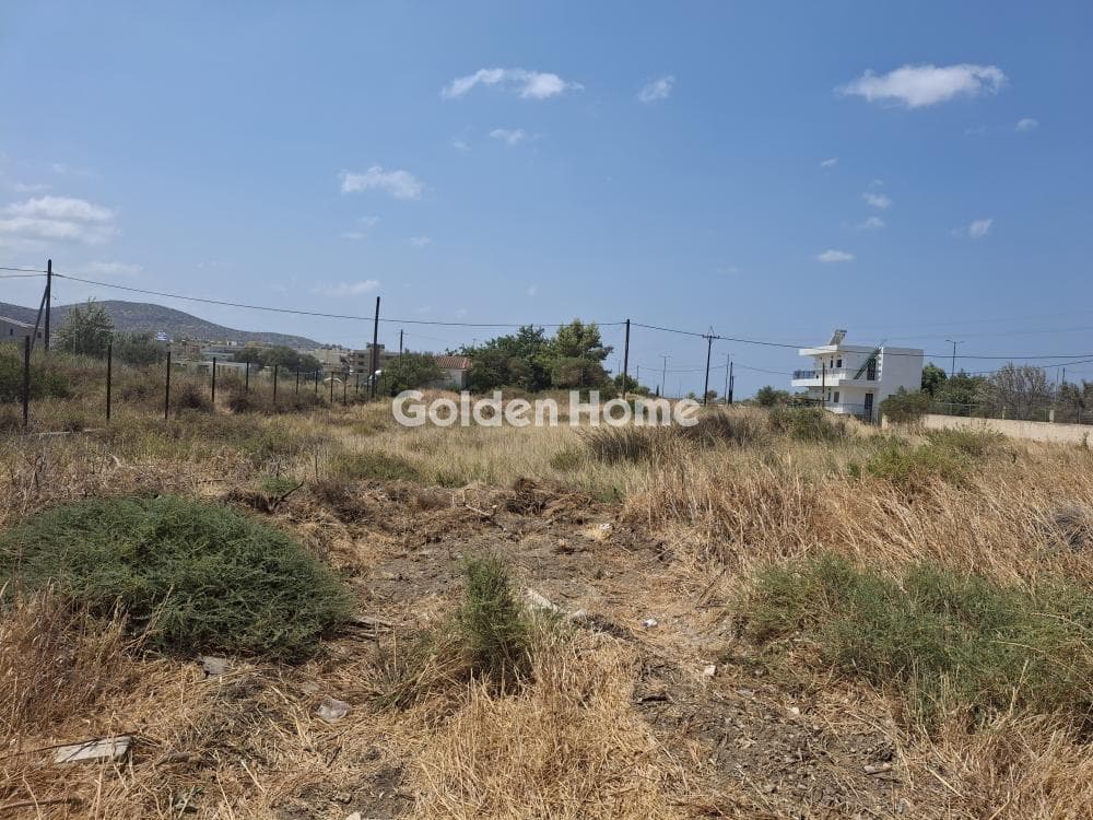 Οικόπεδο στην Αλυκές - Λάκκα, Ανάβυσσος — Φωτογραφία 2 από 4