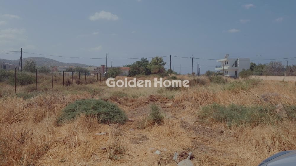 Οικόπεδο στην Αλυκές - Λάκκα, Ανάβυσσος — Φωτογραφία 3 από 4