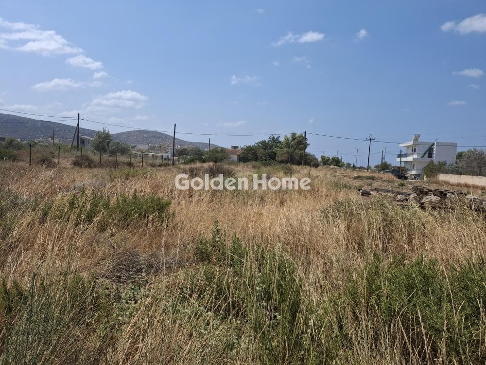 Οικόπεδο στην Αλυκές - Λάκκα, Ανάβυσσος — Φωτογραφία 4 από 4