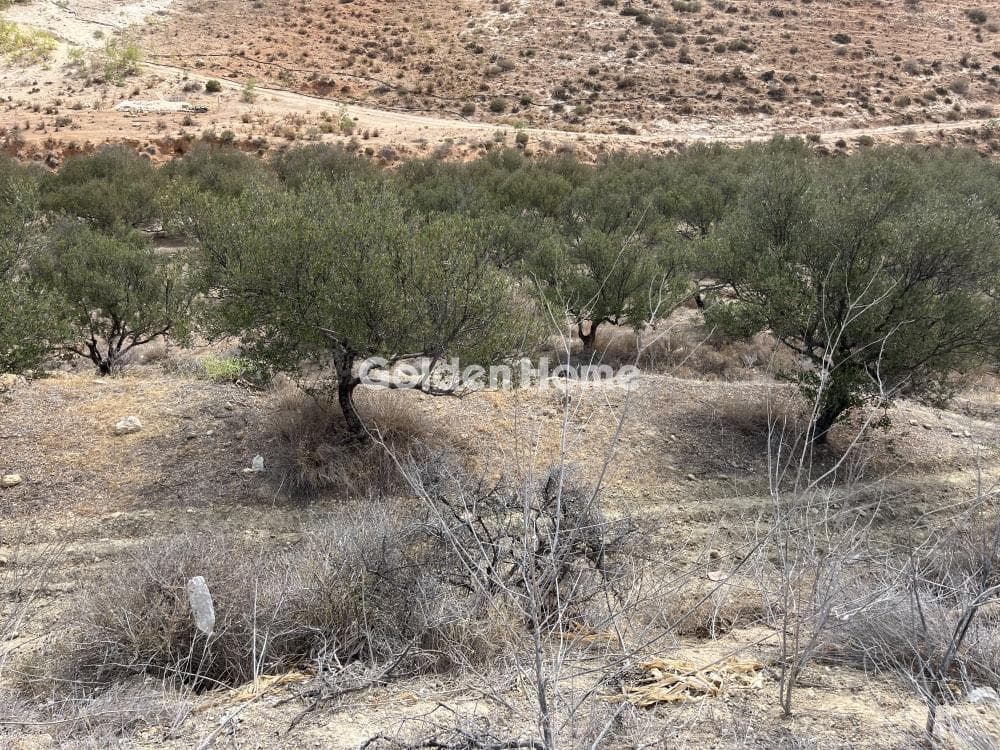 Building Plot in Elia, Episkopi — Photo 3 of 13