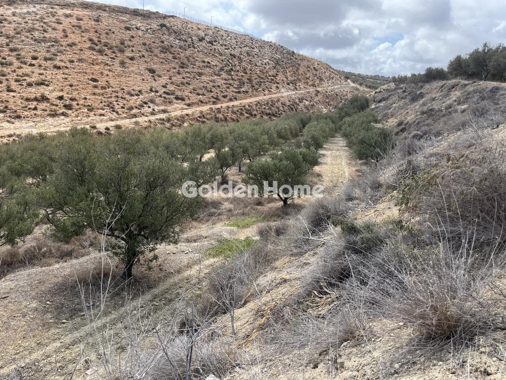 Building Plot in Elia, Episkopi — Photo 5 of 13