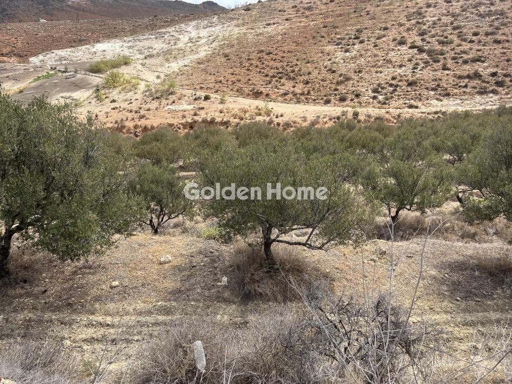 Building Plot in Elia, Episkopi — Photo 6 of 13