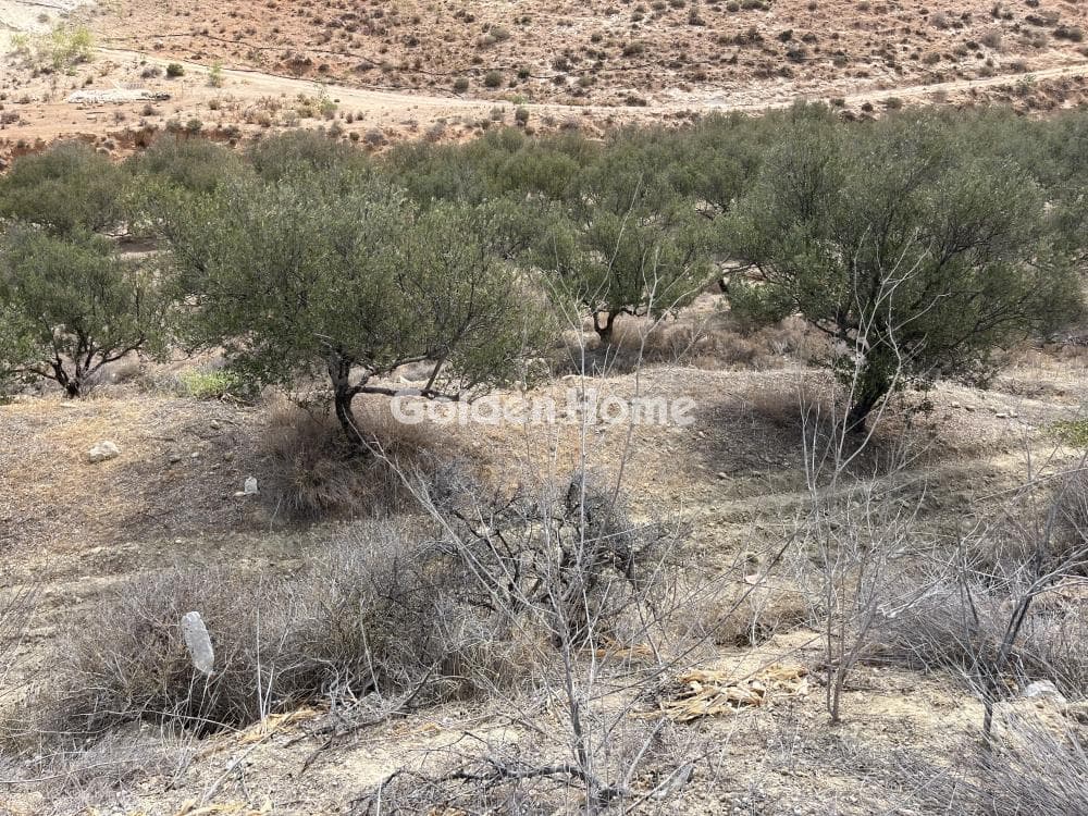 Building Plot in Elia, Episkopi — Photo 8 of 13
