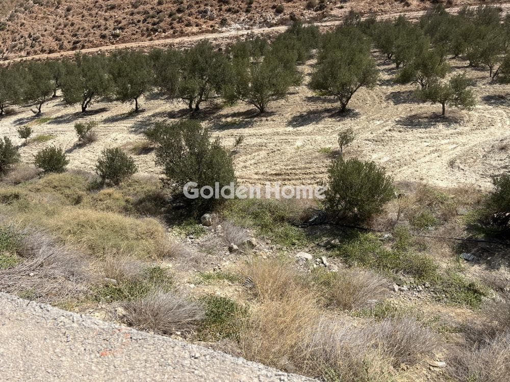 Building Plot in Elia, Episkopi — Photo 11 of 13