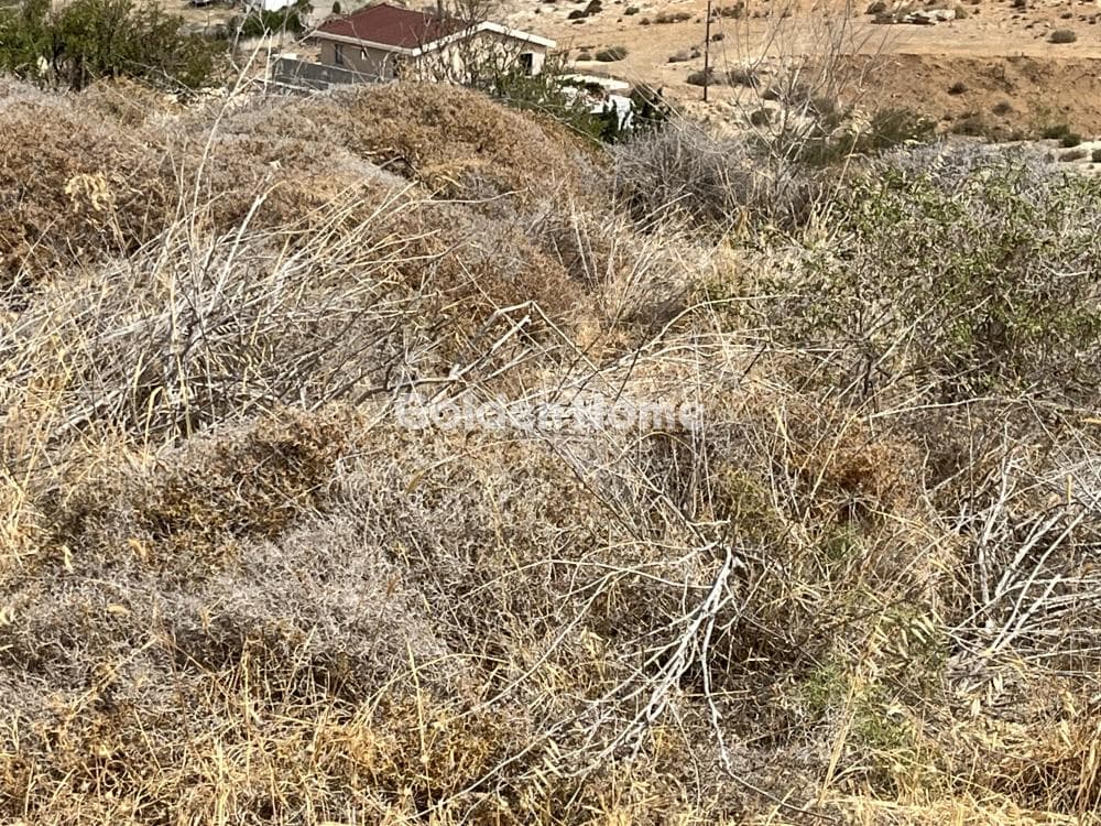 Building Plot in Elia, Episkopi — Photo 12 of 13