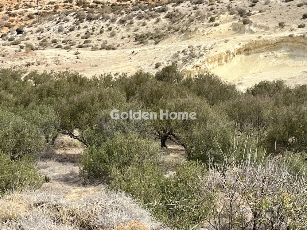 Building Plot in Elia, Episkopi — Photo 13 of 13