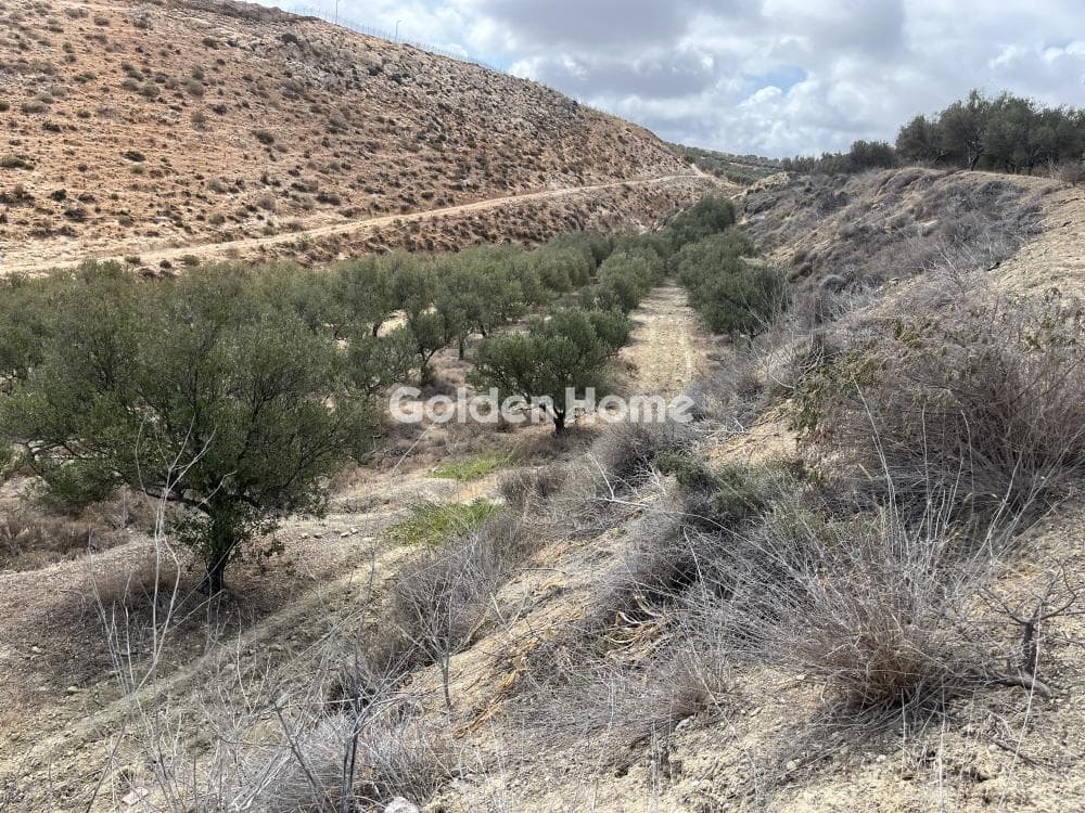 Building Plot in Elia, Episkopi — Photo 1 of 12