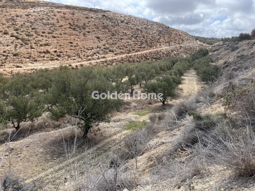 Building Plot in Elia, Episkopi — Photo 7 of 12