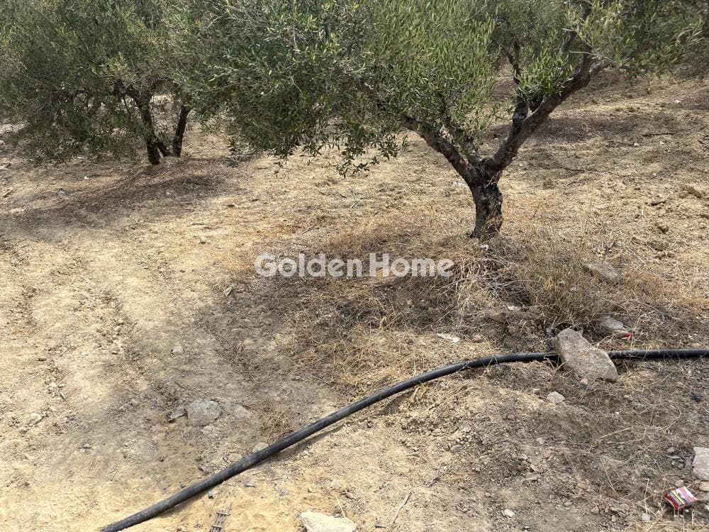 Building Plot in Elia, Episkopi — Photo 8 of 12