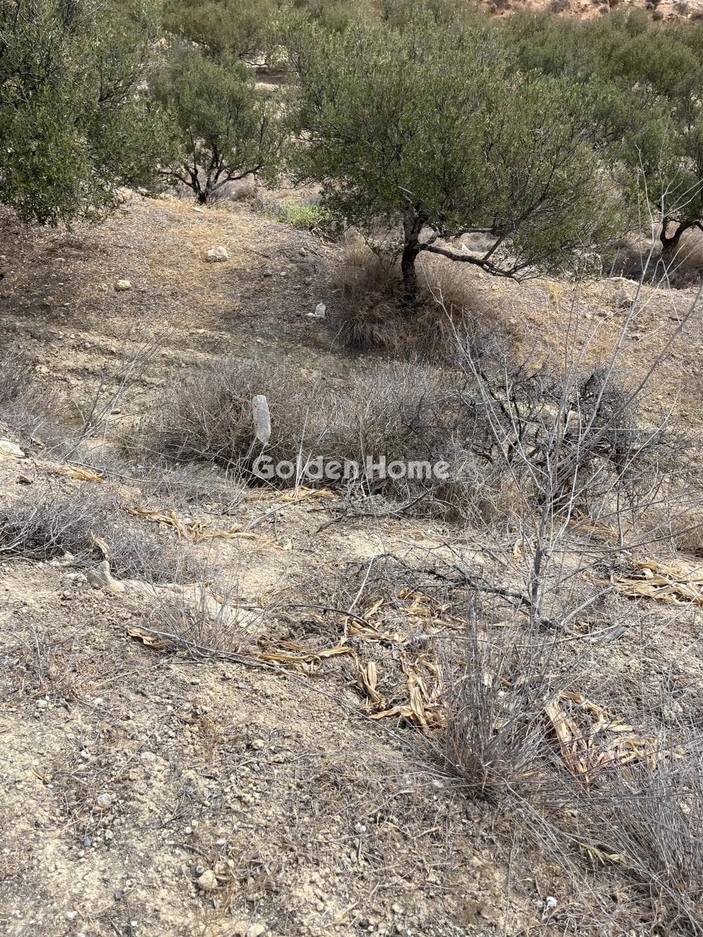 Building Plot in Elia, Episkopi — Photo 9 of 12