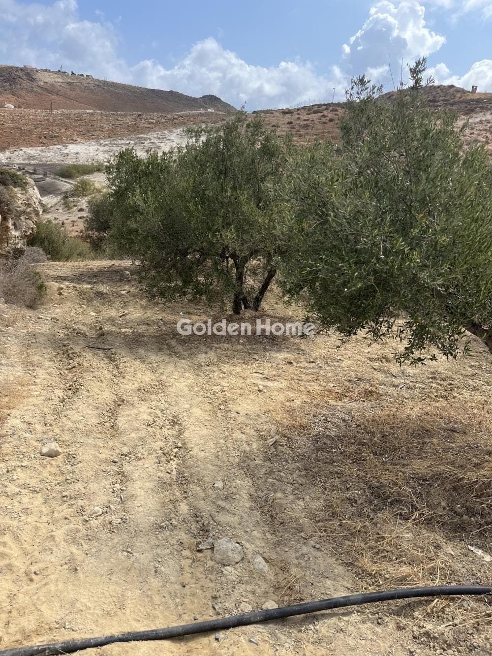 Building Plot in Elia, Episkopi — Photo 10 of 12
