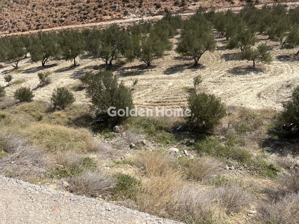 Building Plot in Elia, Episkopi — Photo 12 of 12