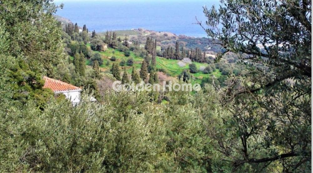Οικόπεδο στην Λάμυρα, Άνδρος — Φωτογραφία 4 από 4
