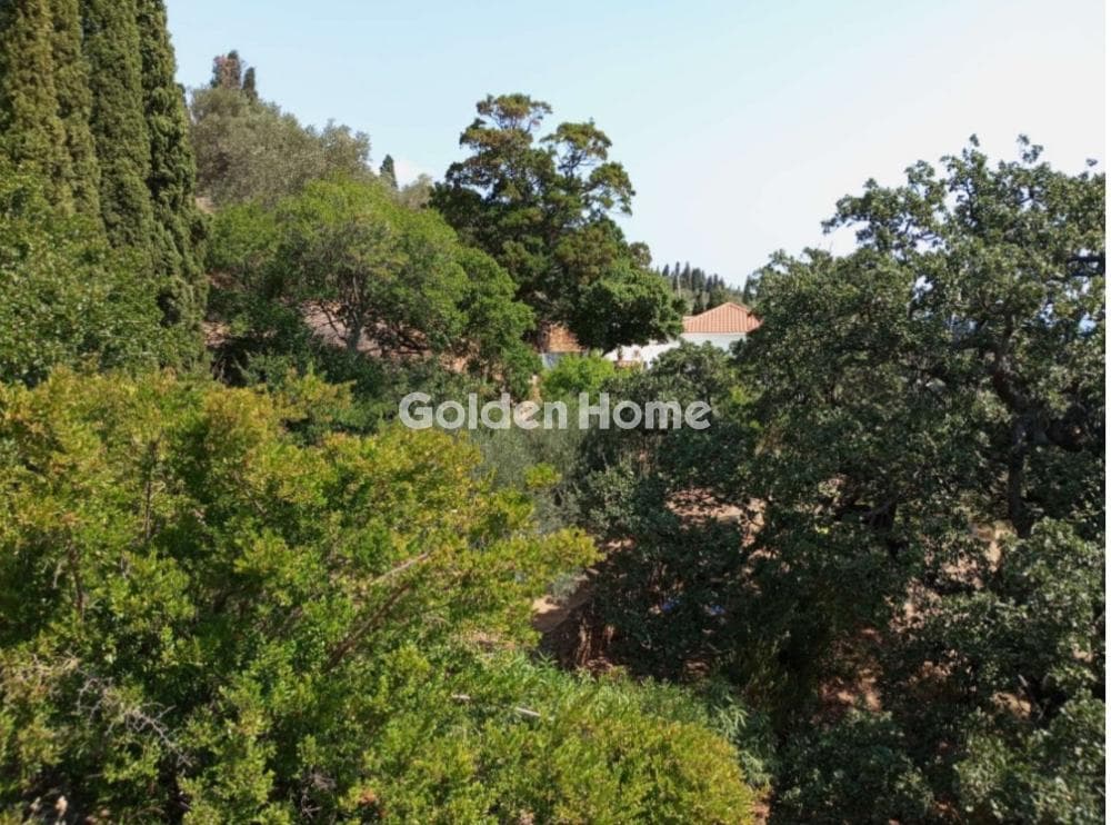 Οικόπεδο στην Λάμυρα, Άνδρος — Φωτογραφία 3 από 4