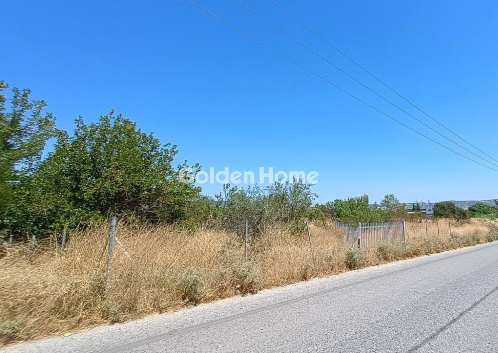 Αγροτεμάχιο στην Νέα Πολιτεία, Εύοσμος — Φωτογραφία 1 από 2