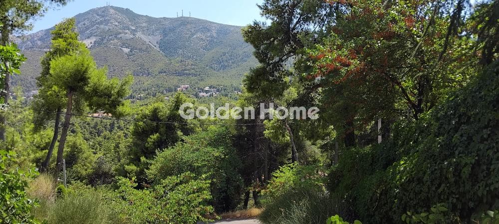 Building Plot in Rodopoli, Rodopoli — Photo 3 of 8