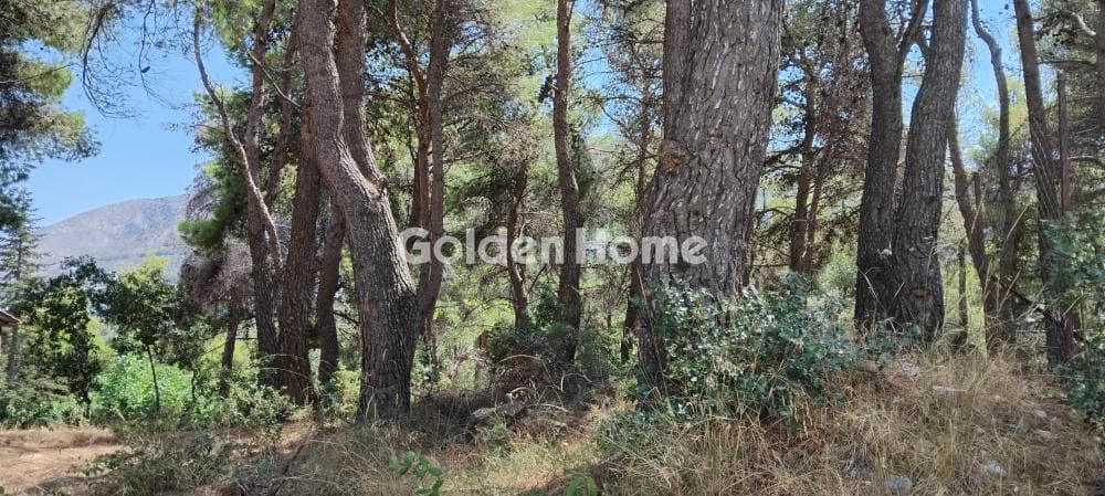 Building Plot in Rodopoli, Rodopoli — Photo 4 of 8