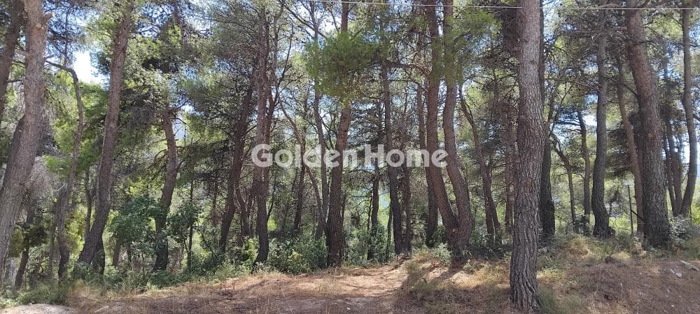 Building Plot in Rodopoli, Rodopoli — Photo 6 of 8