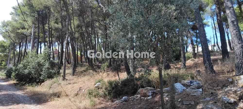 Building Plot in Rodopoli, Rodopoli — Photo 5 of 8
