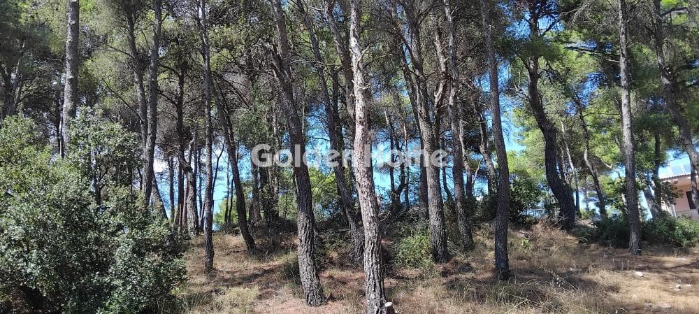 Building Plot in Rodopoli, Rodopoli — Photo 7 of 8