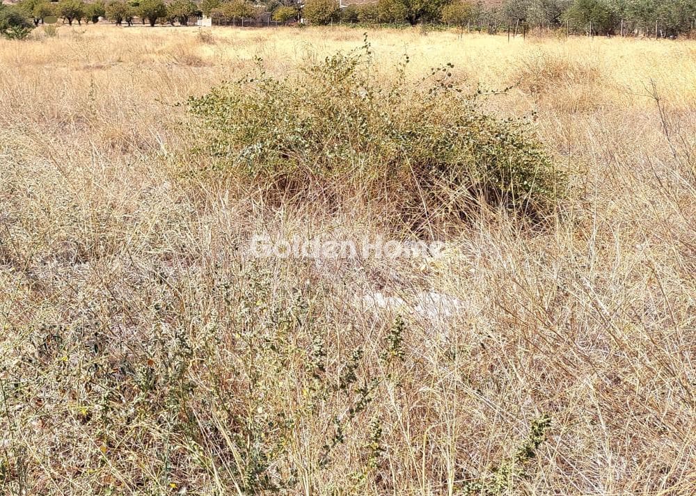 Building Plot in Center, Keratea — Photo 2 of 3