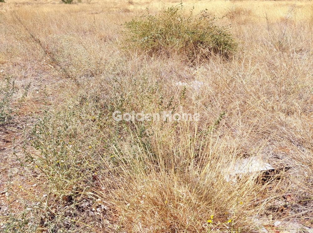 Building Plot in Center, Keratea — Photo 3 of 3
