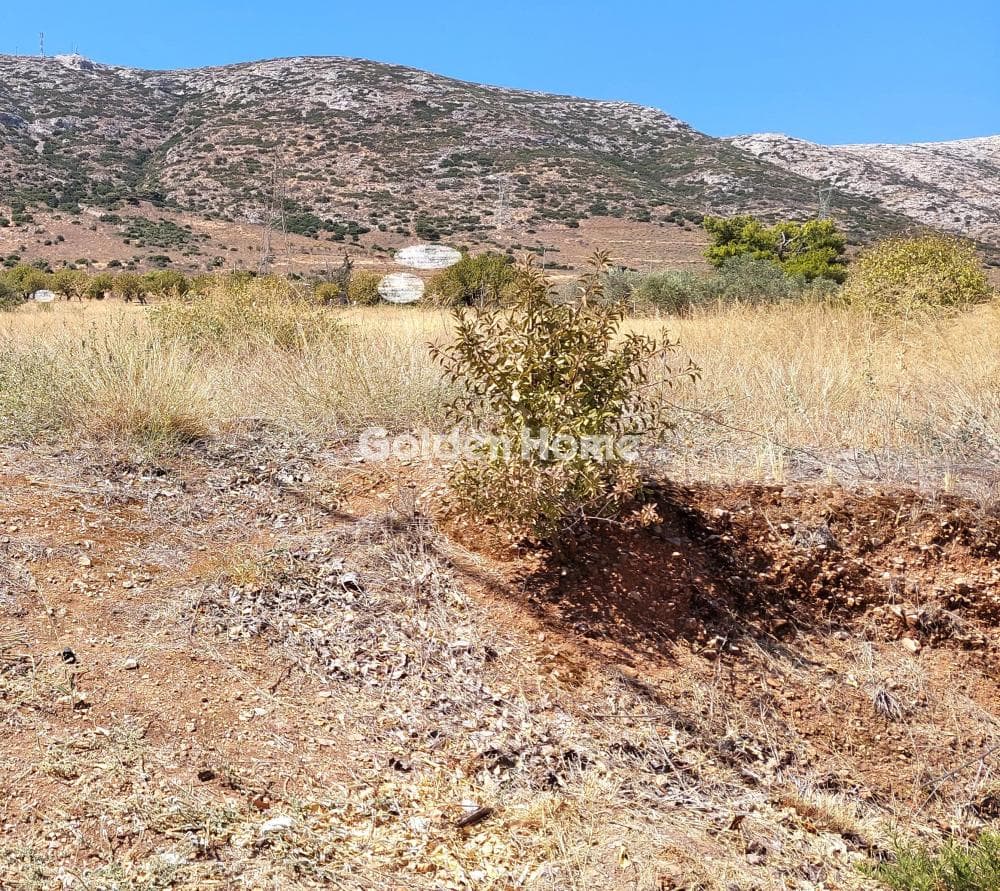 Building Plot in Center, Keratea — Photo 1 of 3