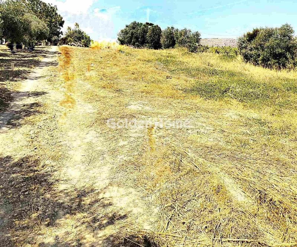 Building Plot in Kollivas, Gazi — Photo 1 of 11