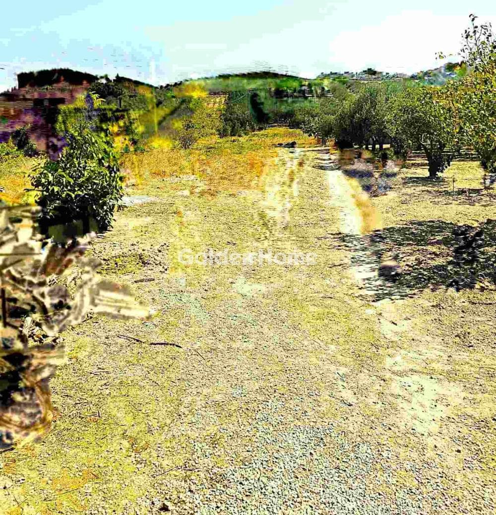 Building Plot in Kollivas, Gazi — Photo 2 of 11