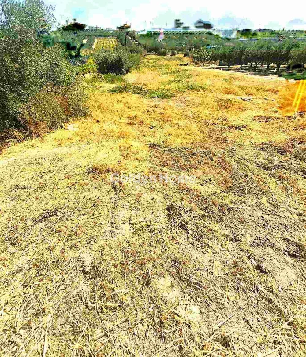 Building Plot in Kollivas, Gazi — Photo 3 of 11