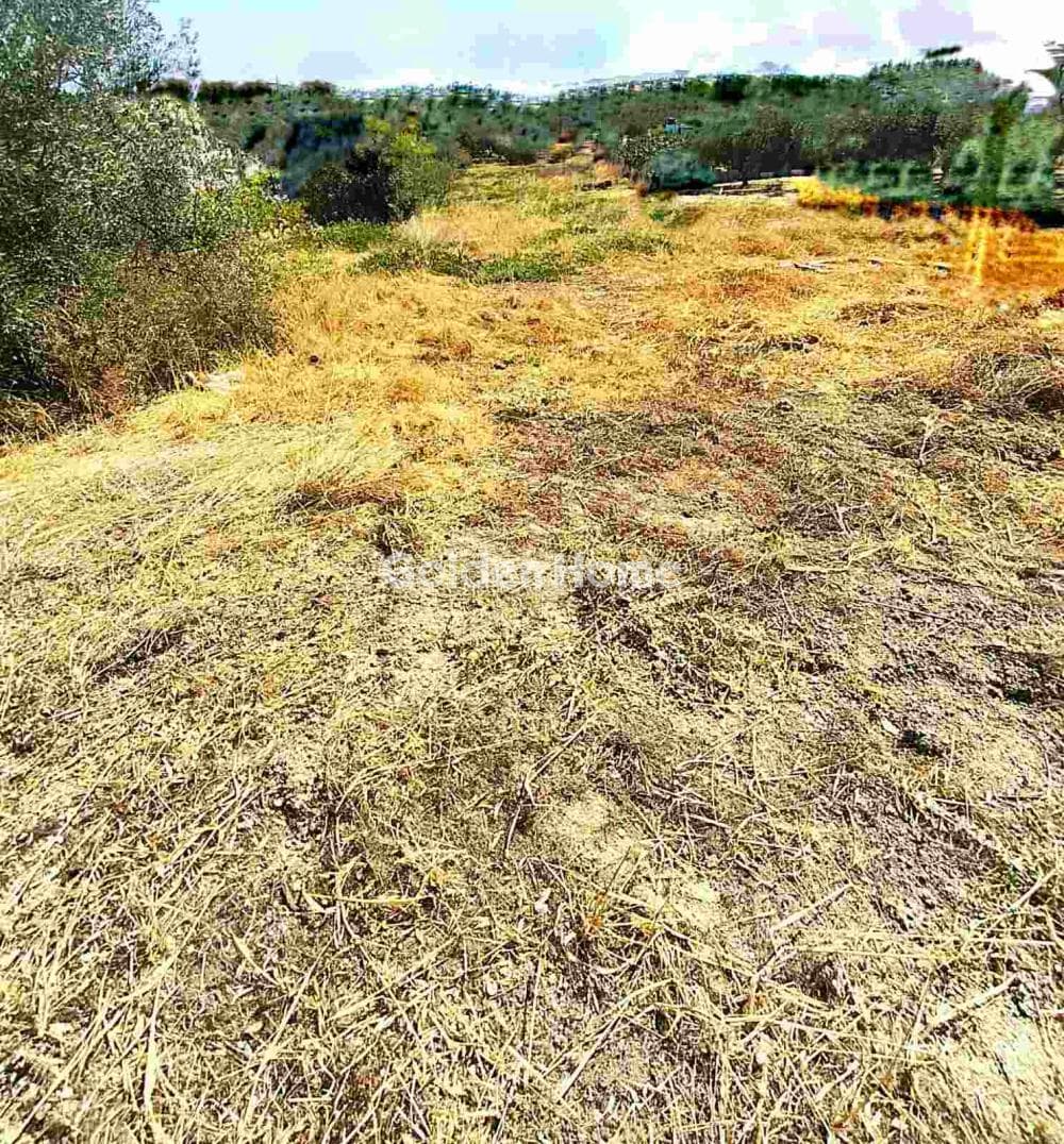 Building Plot in Kollivas, Gazi — Photo 5 of 11