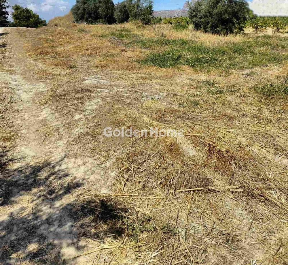 Building Plot in Kollivas, Gazi — Photo 7 of 11