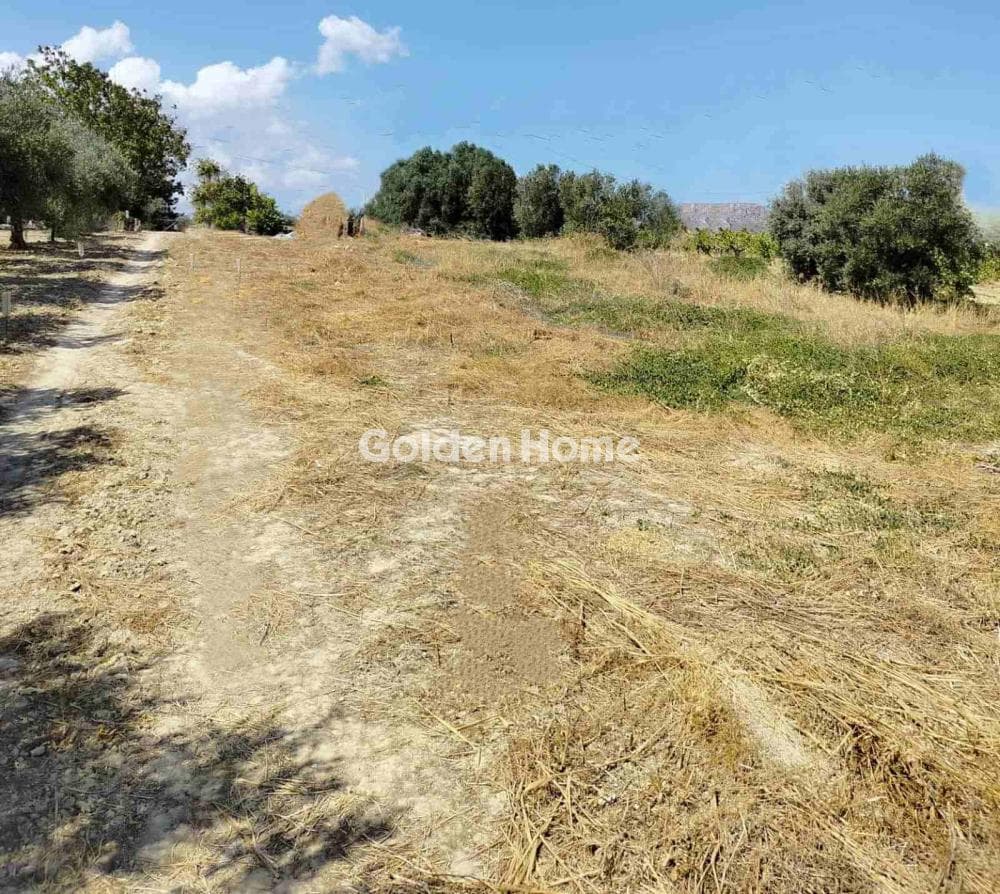 Building Plot in Kollivas, Gazi — Photo 8 of 11