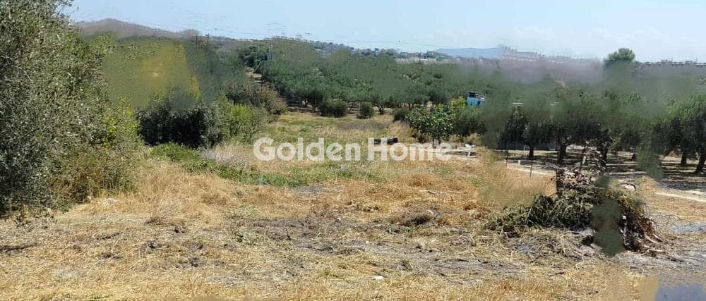 Building Plot in Kollivas, Gazi — Photo 9 of 11