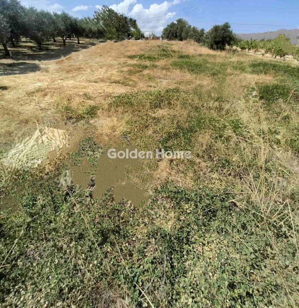 Building Plot in Kollivas, Gazi — Photo 10 of 11